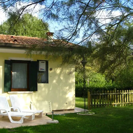 A3 *